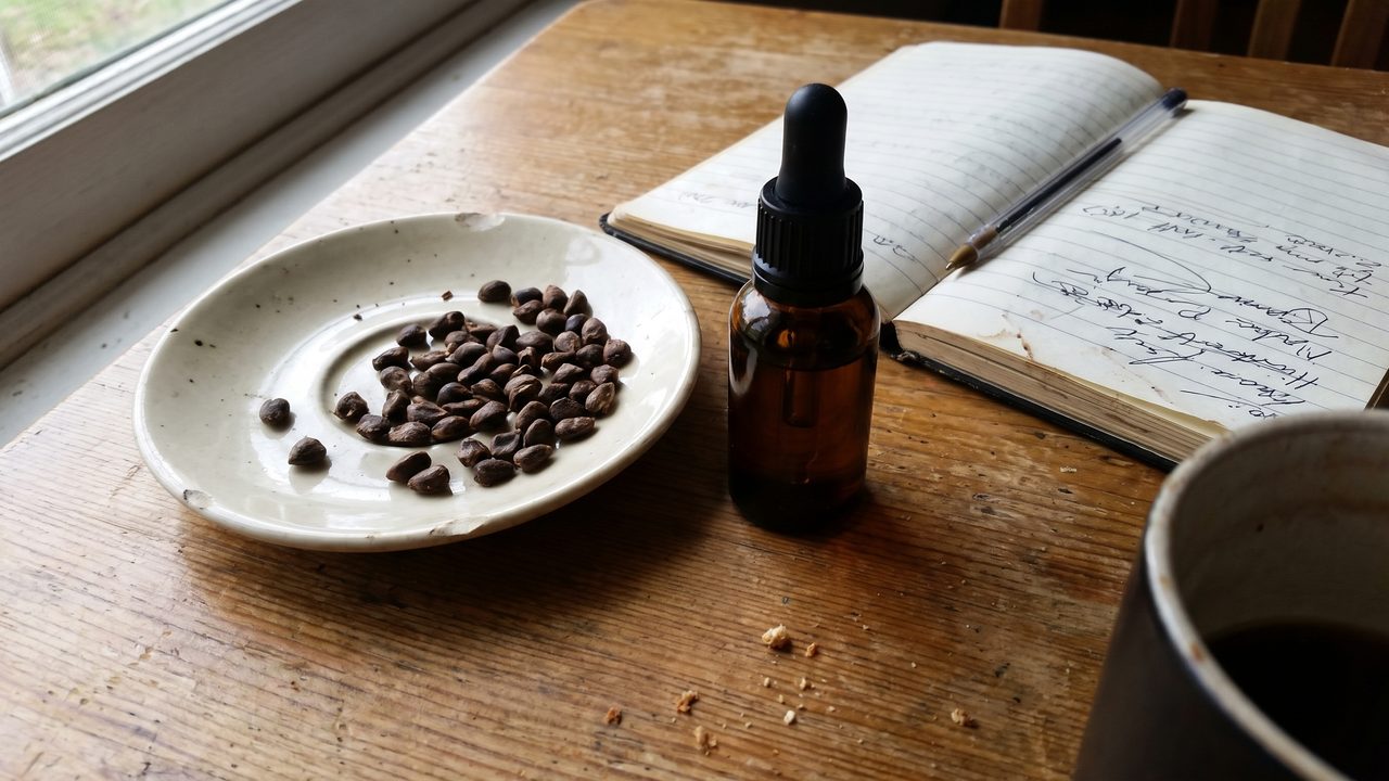 A small amber dropper bottle on a kitchen table next to a saucer of dark seeds and an open notebook