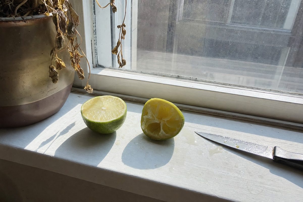 A cut lime and a squeezed lemon half lying on a sunny kitchen windowsill in hard afternoon light